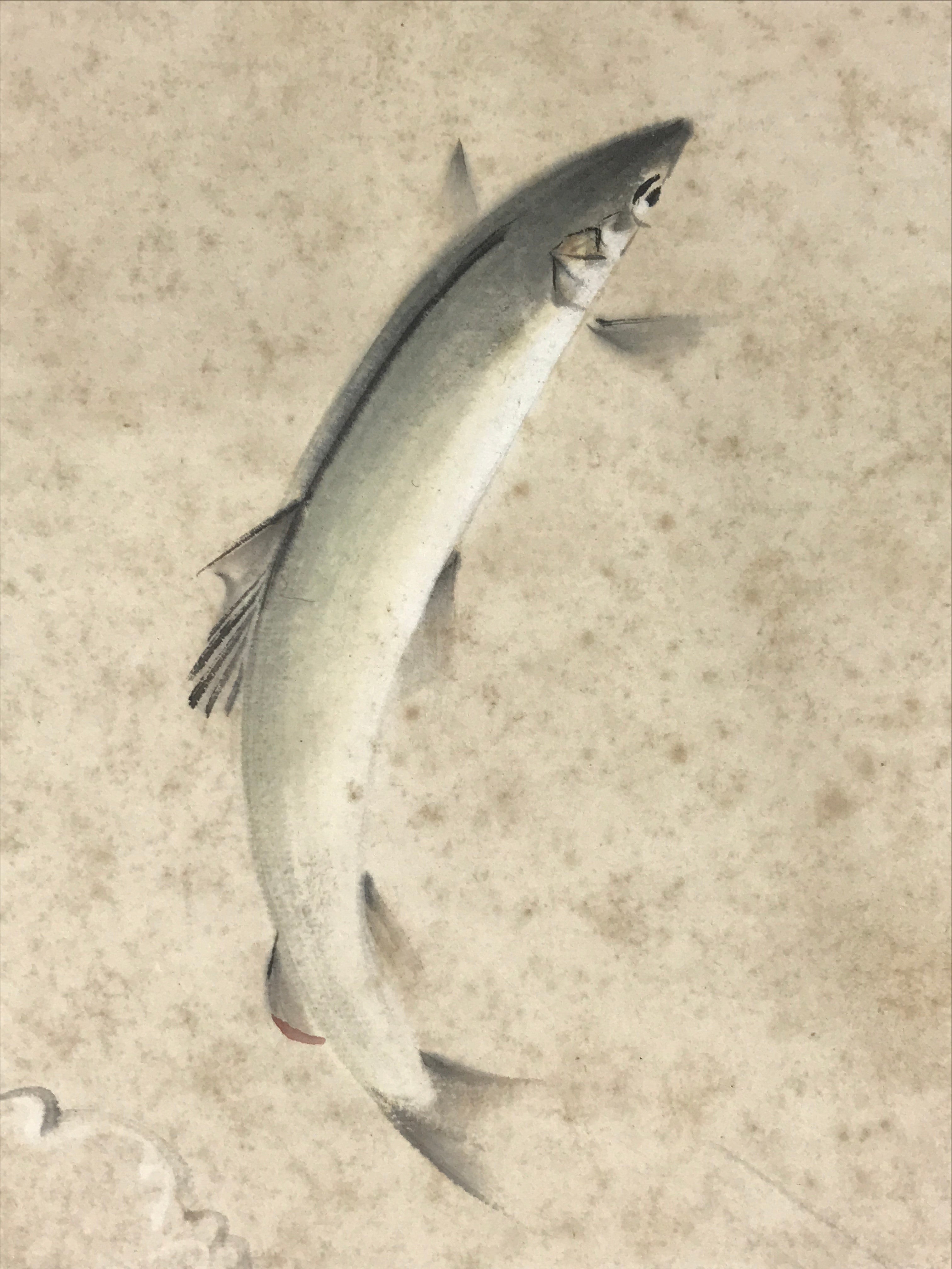 Japanese Shikishi Art Board Jumping Fish Vtg Gray Rapids River Painting A545