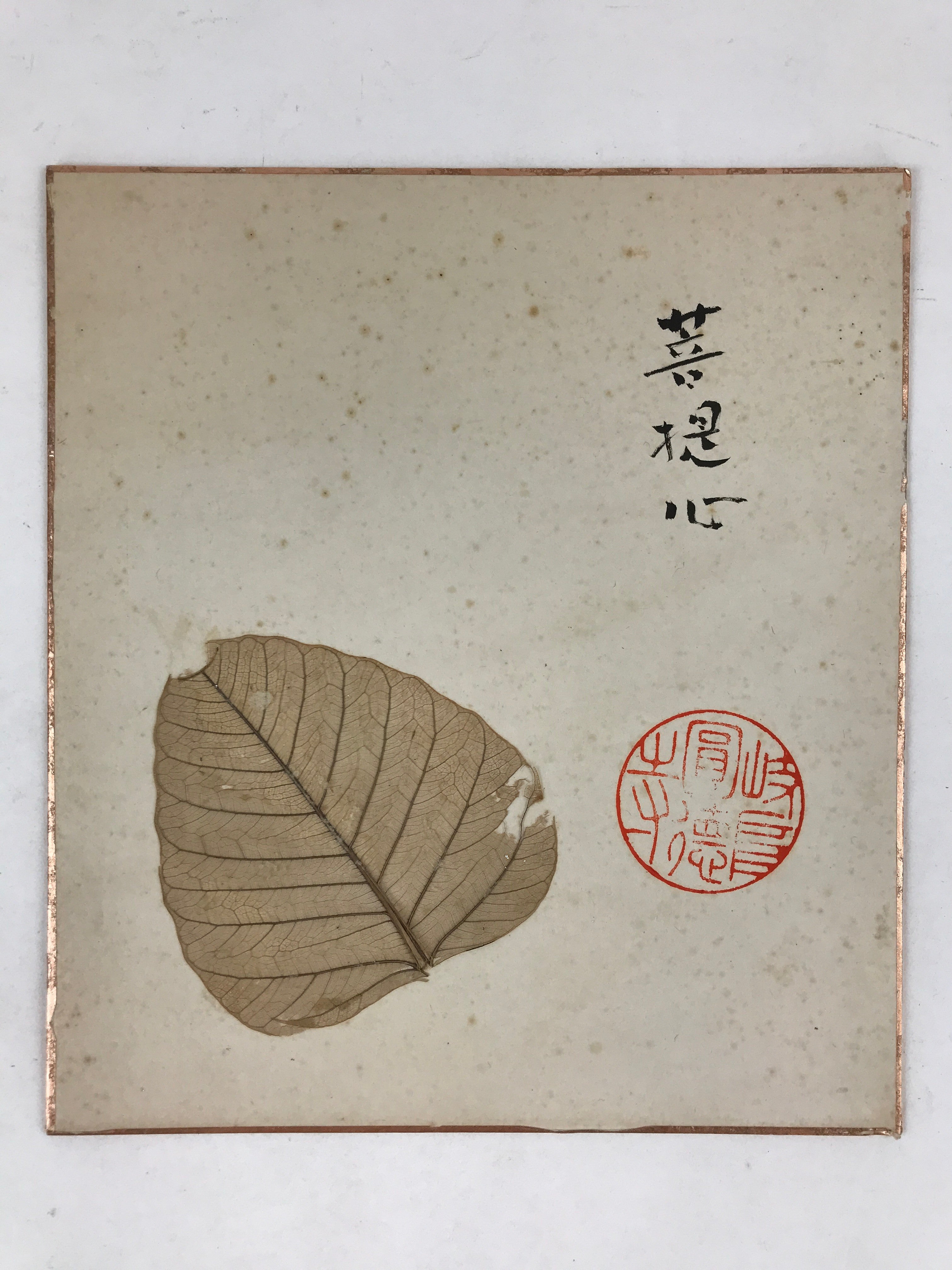 Japanese Shikishi Art Board Large Dry Leaf Vtg Brown Signed Painting A558
