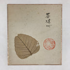 Japanese Shikishi Art Board Large Dry Leaf Vtg Brown Signed Painting A558