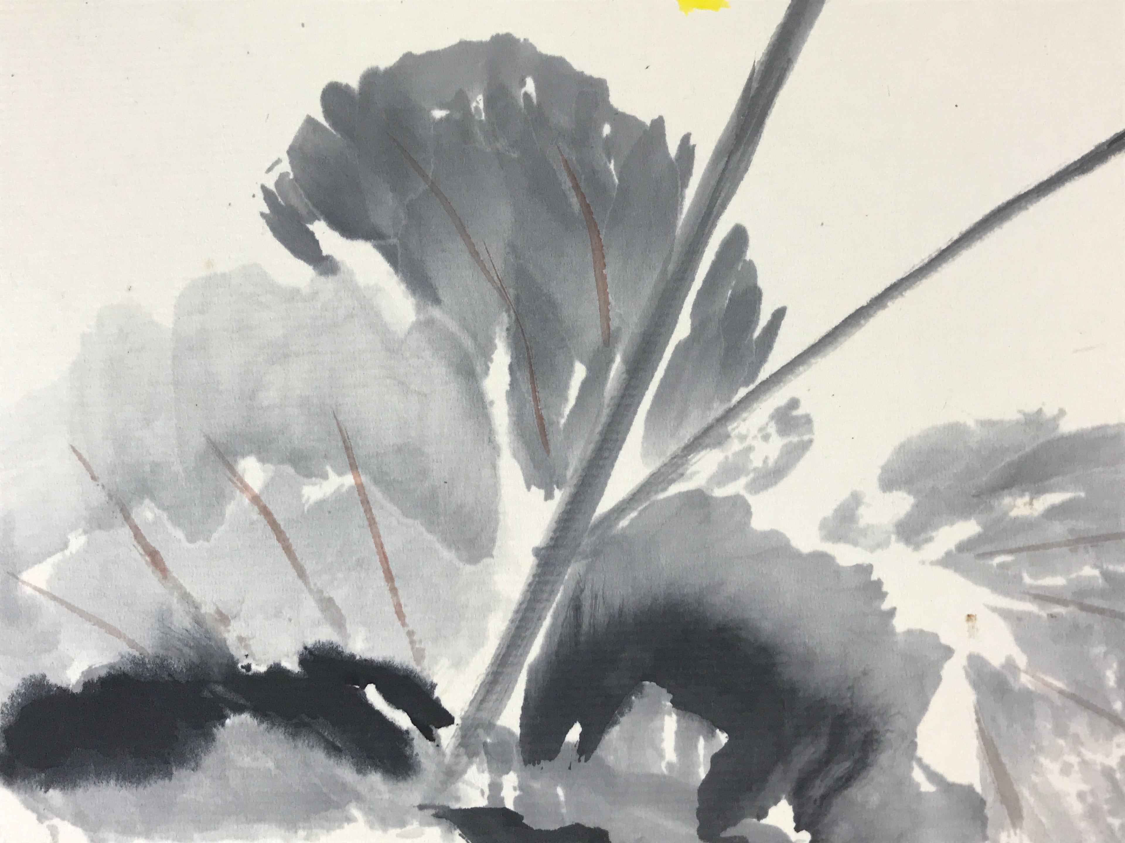 Japanese Shikishi Art Board Leopard Plant Vtg Tsuwabuki Painting Yellow A542