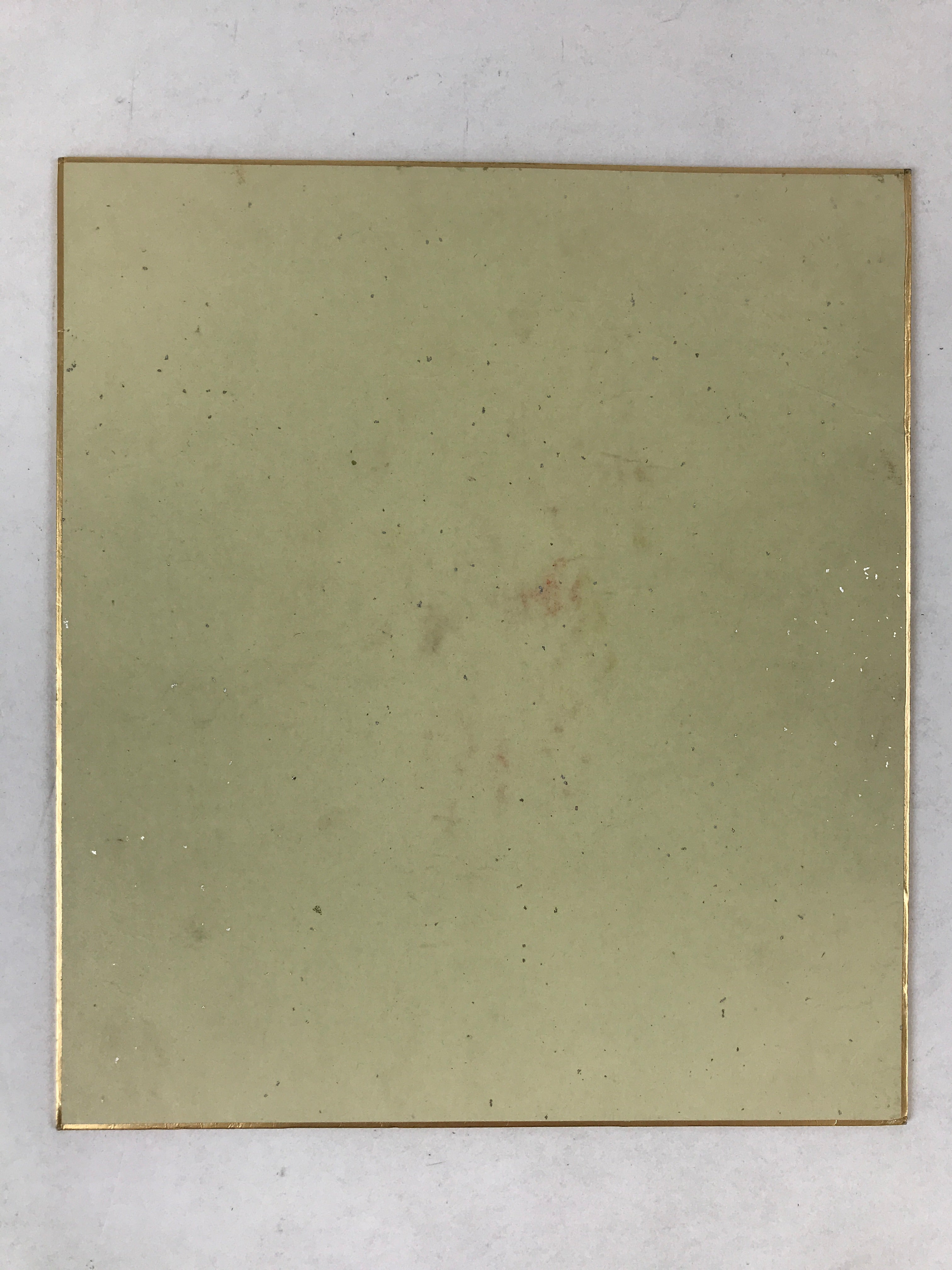 Japanese Shikishi Art Board Night Cereus Flower Gekkabijin Painting White A543