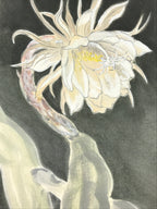 Japanese Shikishi Art Board Night Cereus Flower Gekkabijin Painting White A543