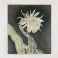 Japanese Shikishi Art Board Night Cereus Flower Gekkabijin Painting White A543