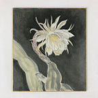 Japanese Shikishi Art Board Night Cereus Flower Gekkabijin Painting White A543