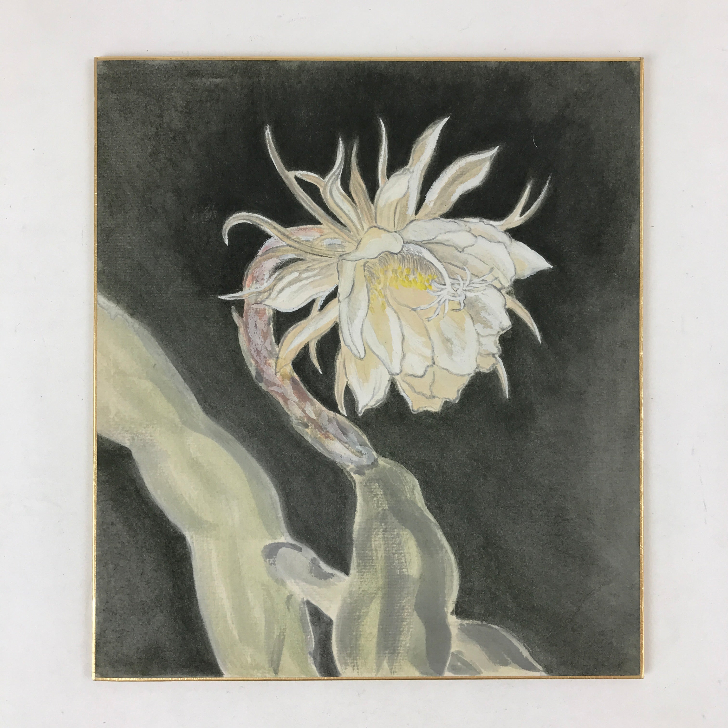 Japanese Shikishi Art Board Night Cereus Flower Gekkabijin Painting White A543