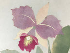Japanese Shikishi Art Board Orchid Flower Vtg Ran Washi Paper Craft Purple A541