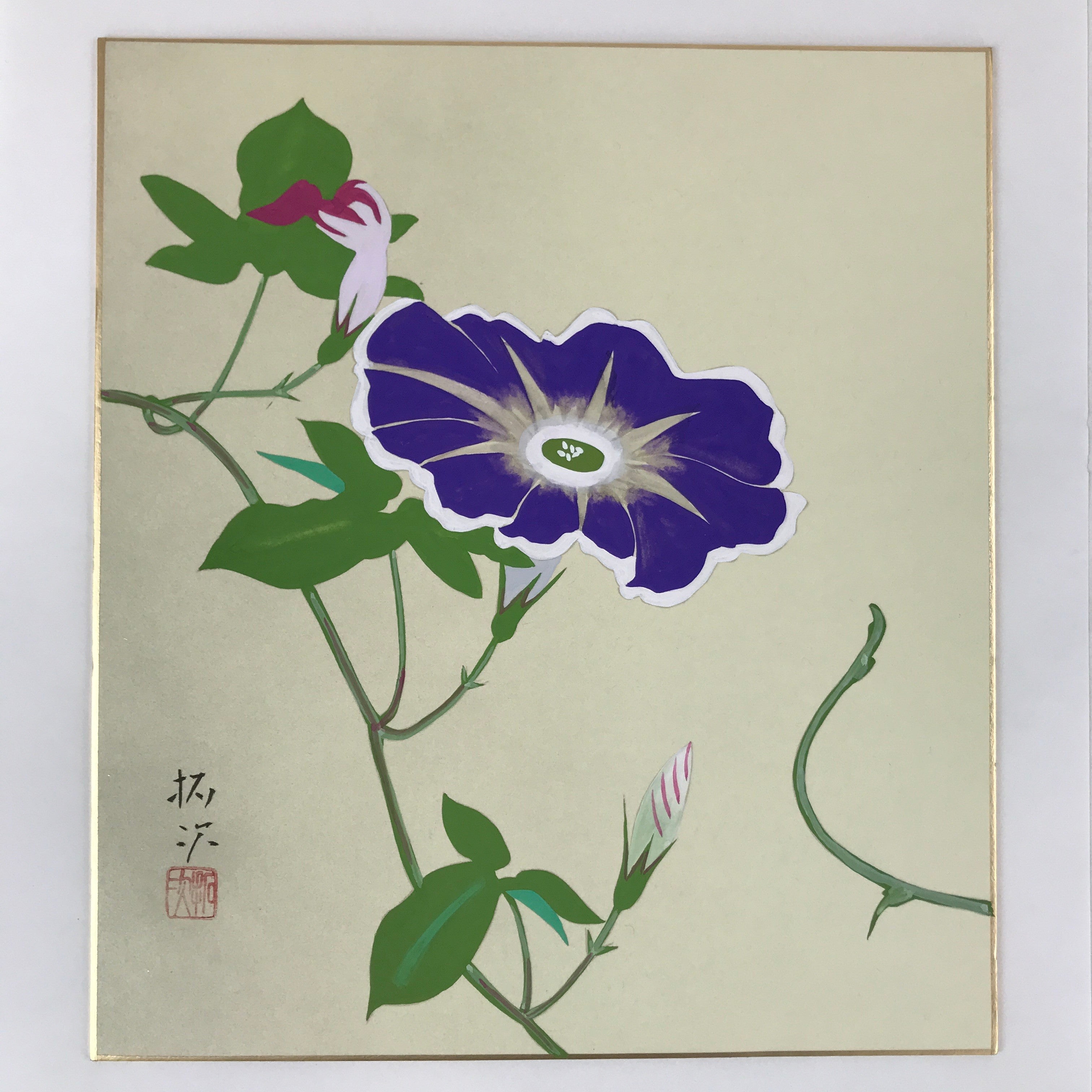 Japanese Shikishi Art Board Painting Asagao Morning Glory Purple W/ Card A610