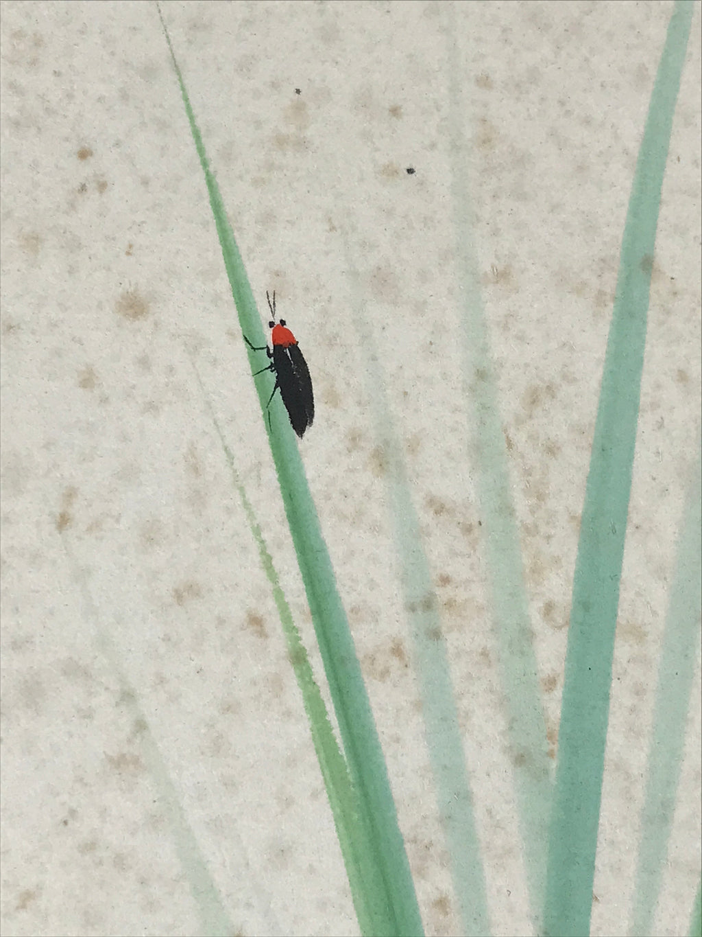 Japanese Shikishi Art Board Painting Black Red Insect On Green Grass A597