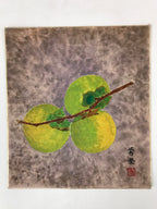 Japanese Shikishi Art Board Painting Green Persimmon Kaki Fruit Branch A583