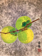 Japanese Shikishi Art Board Painting Green Persimmon Kaki Fruit Branch A583