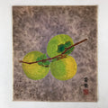 Japanese Shikishi Art Board Painting Green Persimmon Kaki Fruit Branch A583