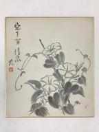 Japanese Shikishi Art Board Painting Moonflower Snail White Morning Glory A556