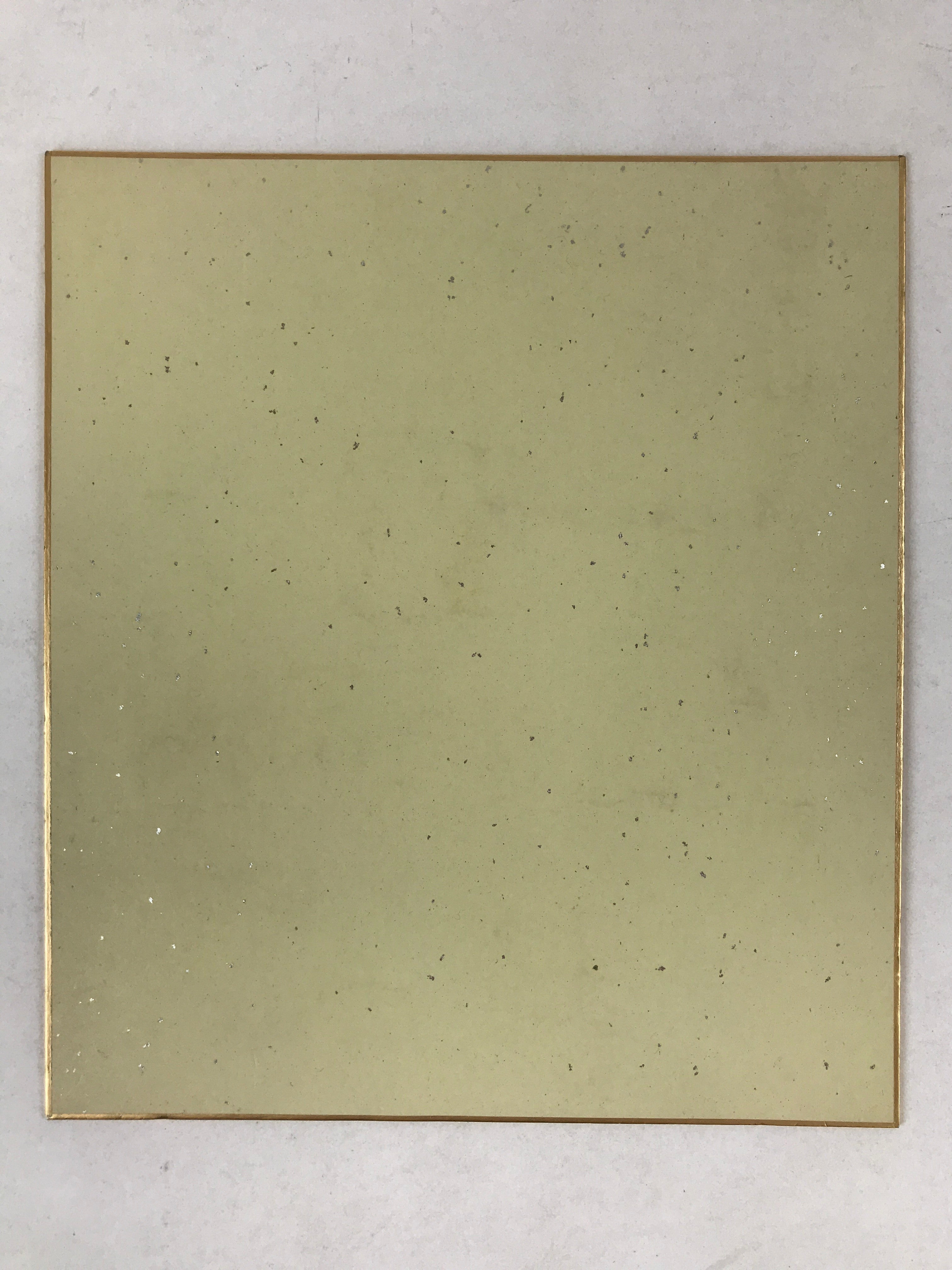 Japanese Shikishi Art Board Painting Moonflower Snail White Morning Glory A556