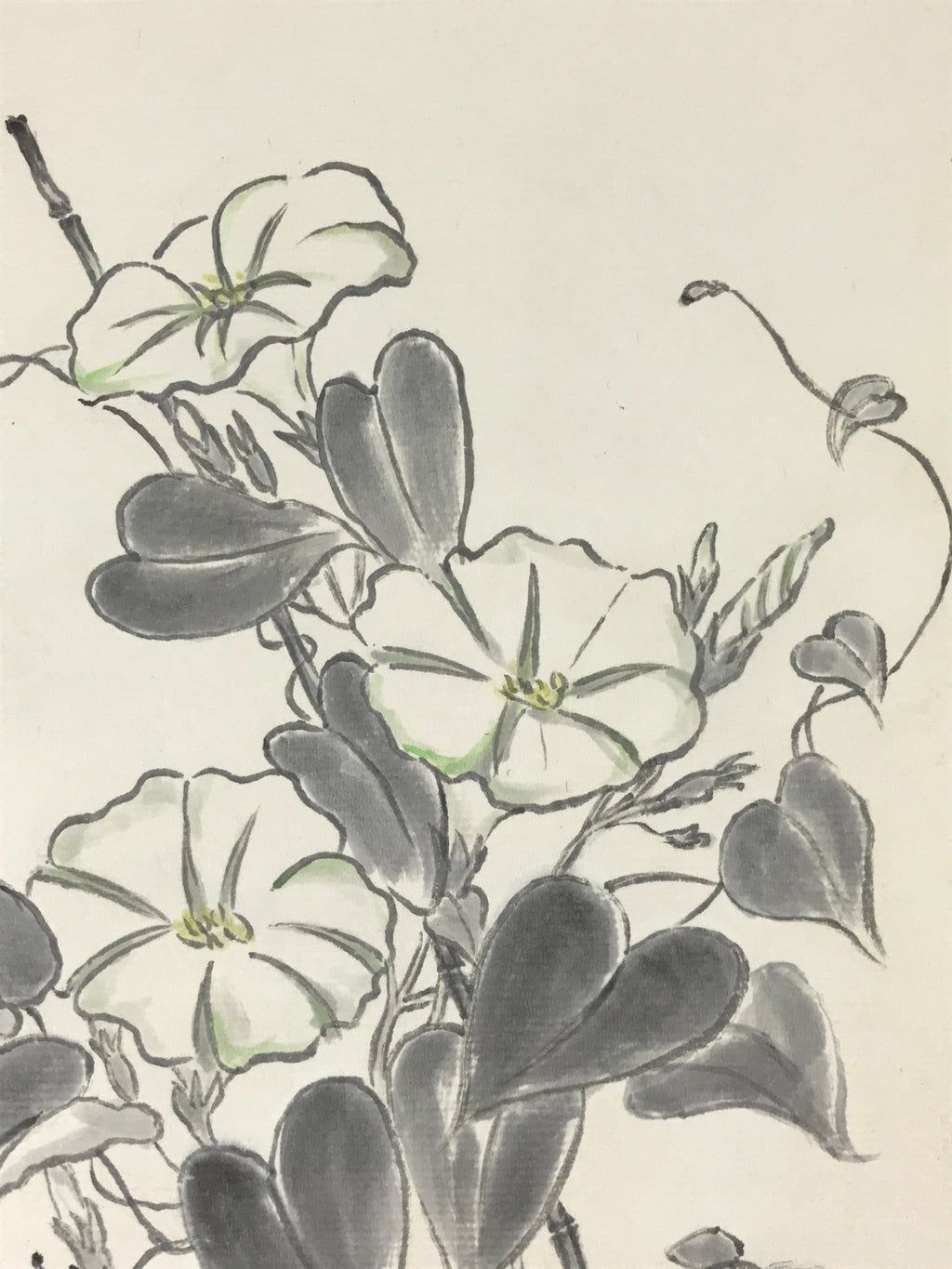 Japanese Shikishi Art Board Painting Moonflower Snail White Morning Glory A556