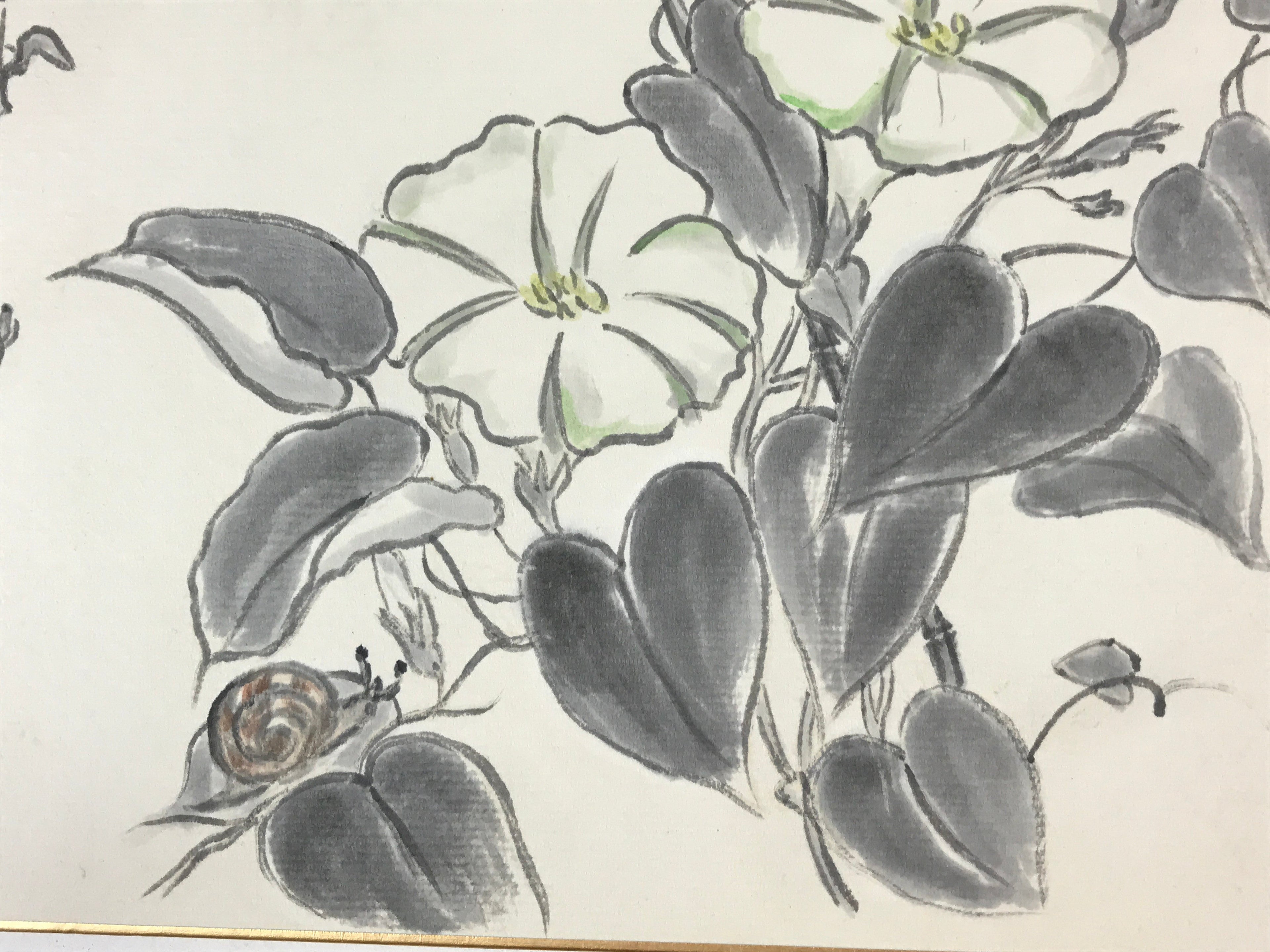 Japanese Shikishi Art Board Painting Moonflower Snail White Morning Glory A556