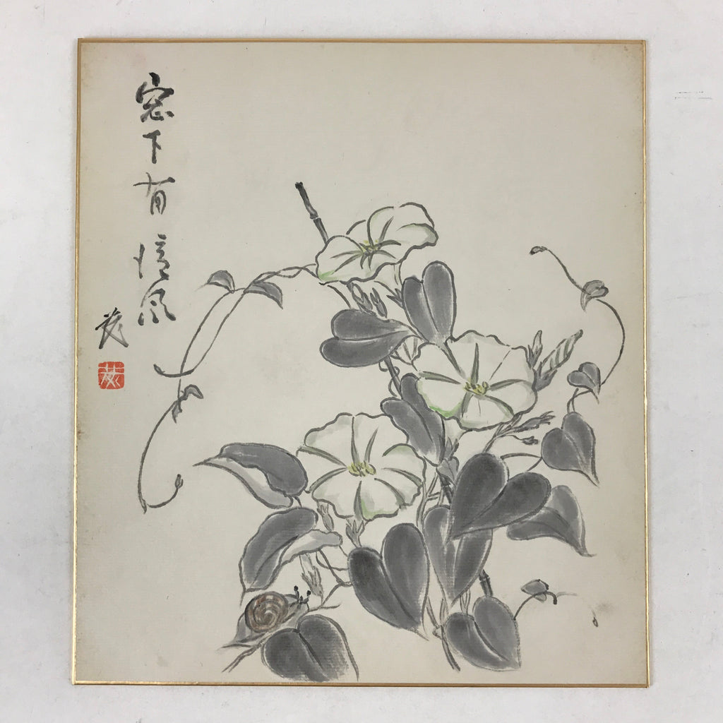 Japanese Shikishi Art Board Painting Moonflower Snail White Morning Glory A556