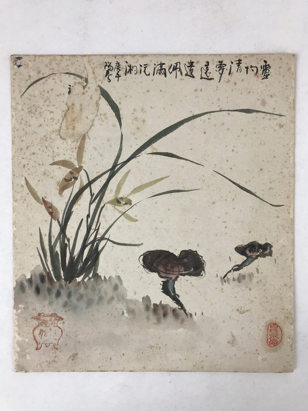 Japanese Shikishi Art Board Painting Mushroom Flower Grass Brown Green A600