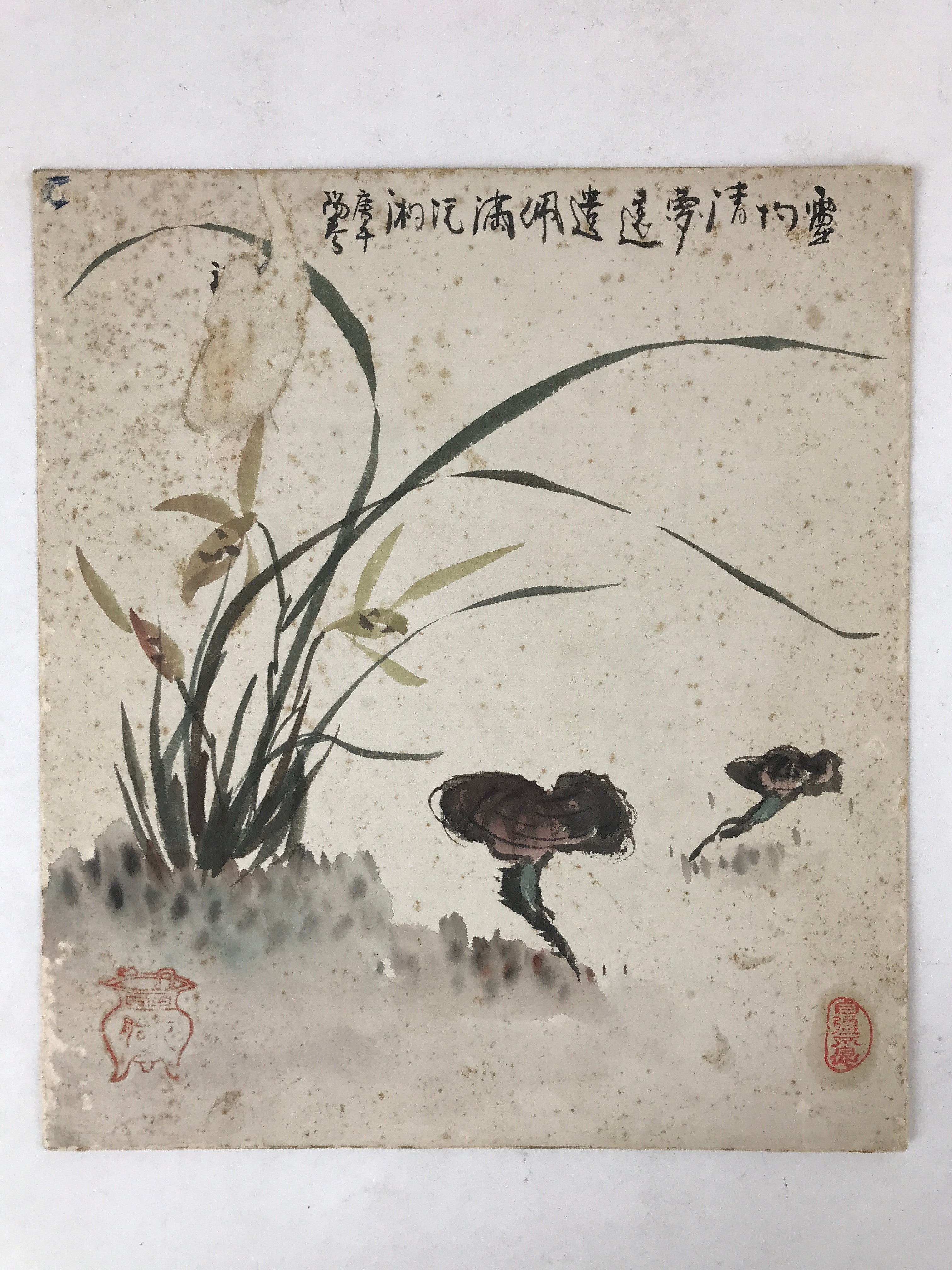 Japanese Shikishi Art Board Painting Mushroom Flower Grass Brown Green A600