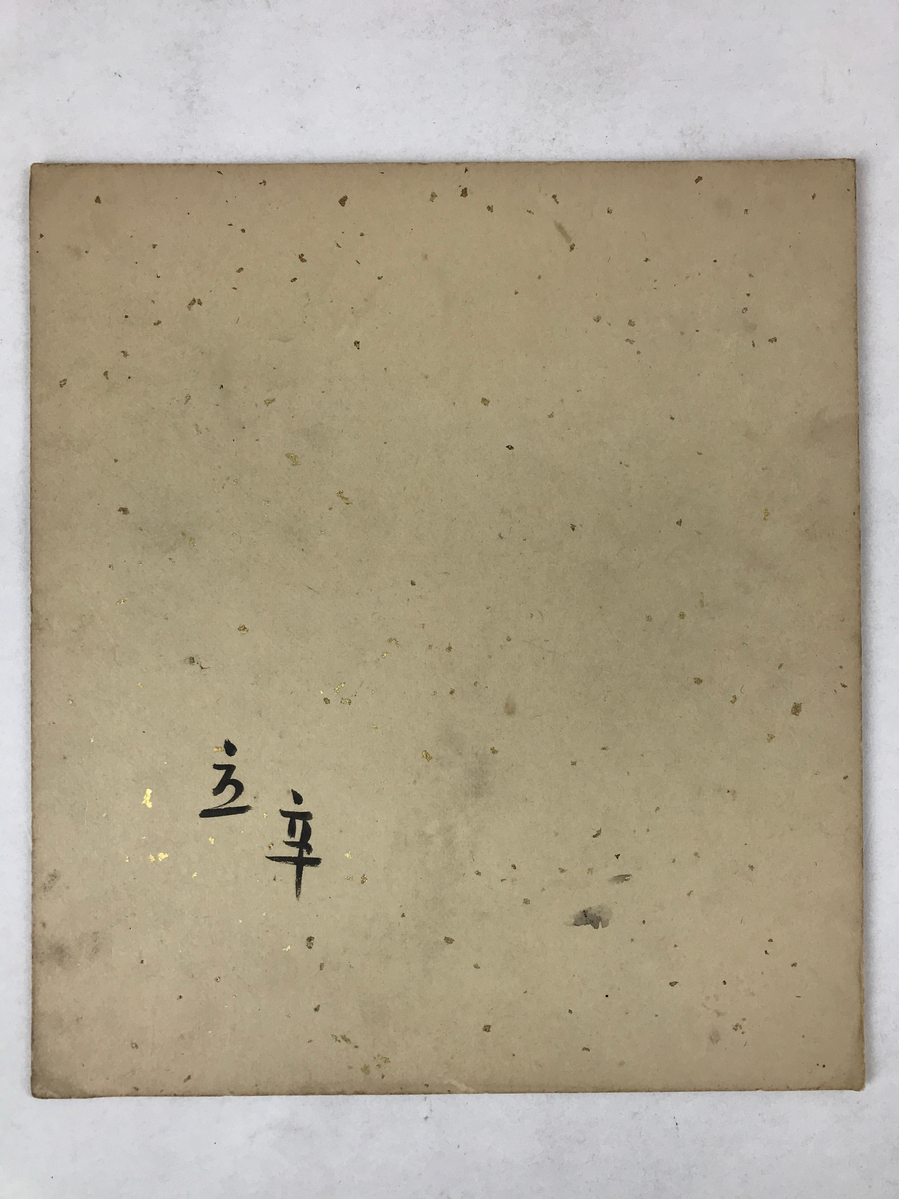 Japanese Shikishi Art Board Painting Mushroom Flower Grass Brown Green A600