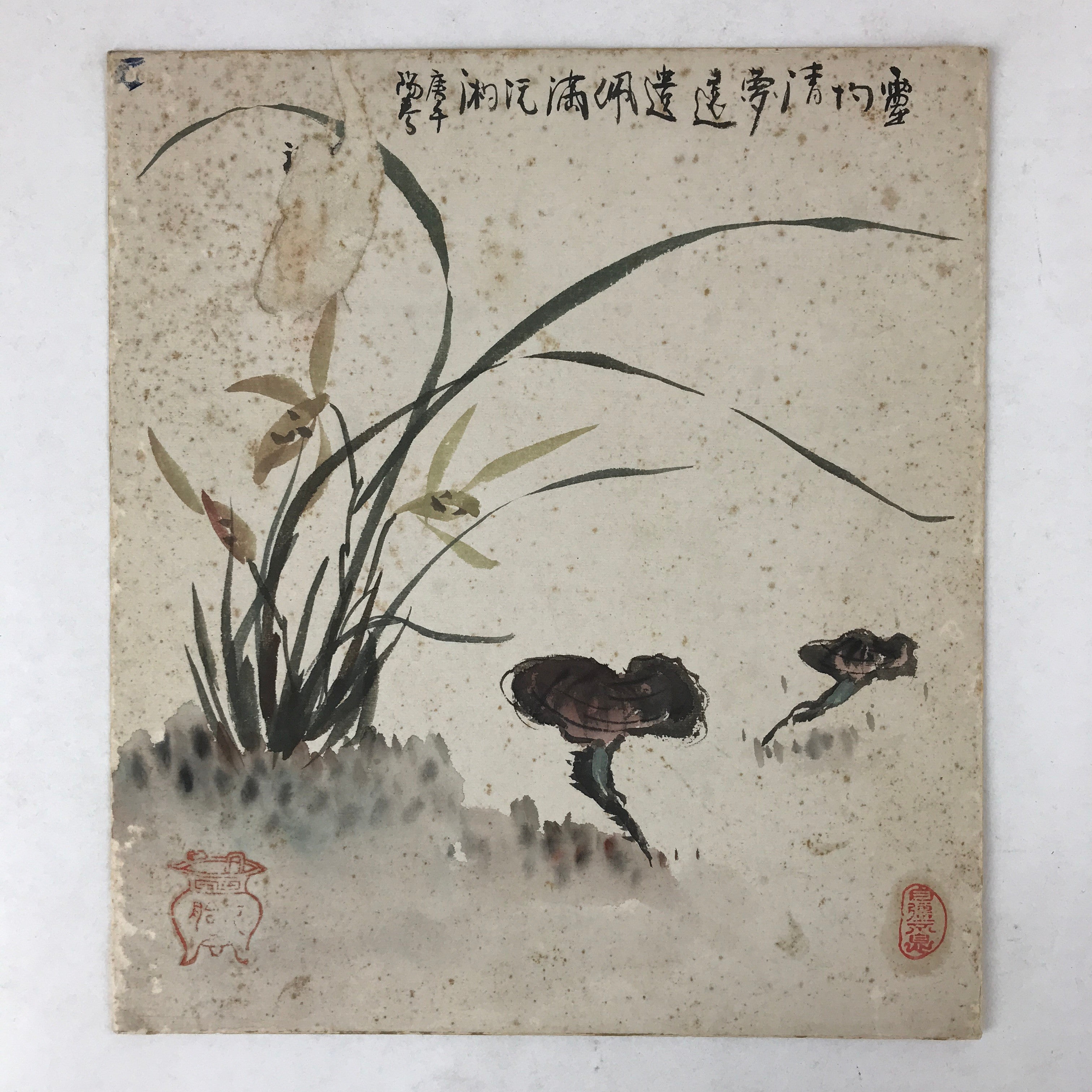 Japanese Shikishi Art Board Painting Mushroom Flower Grass Brown Green A600
