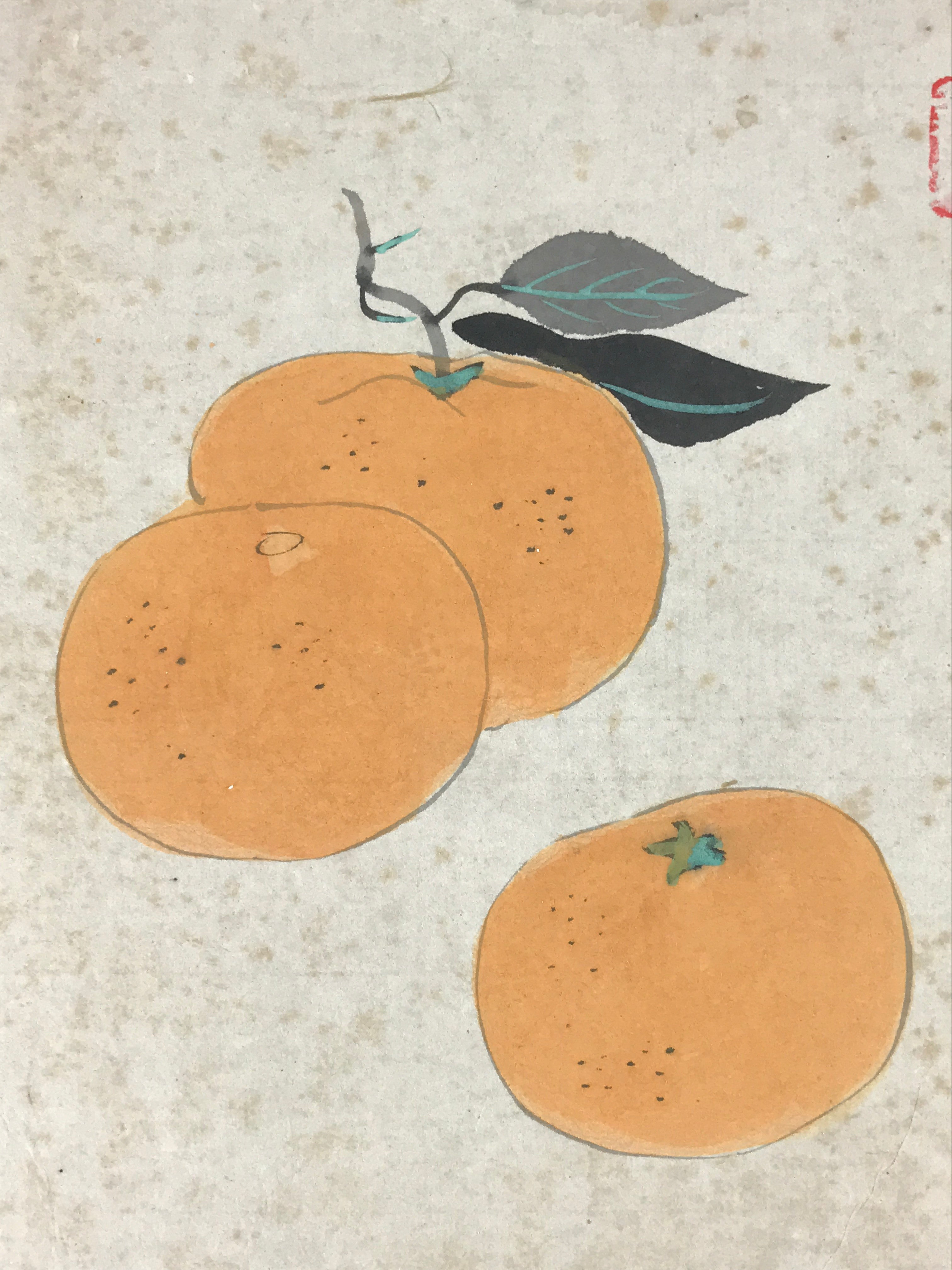 Japanese Shikishi Art Board Painting Oranges Mikan Fruit Still Life A575