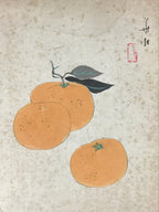 Japanese Shikishi Art Board Painting Oranges Mikan Fruit Still Life A575