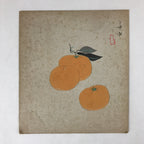Japanese Shikishi Art Board Painting Oranges Mikan Fruit Still Life A575