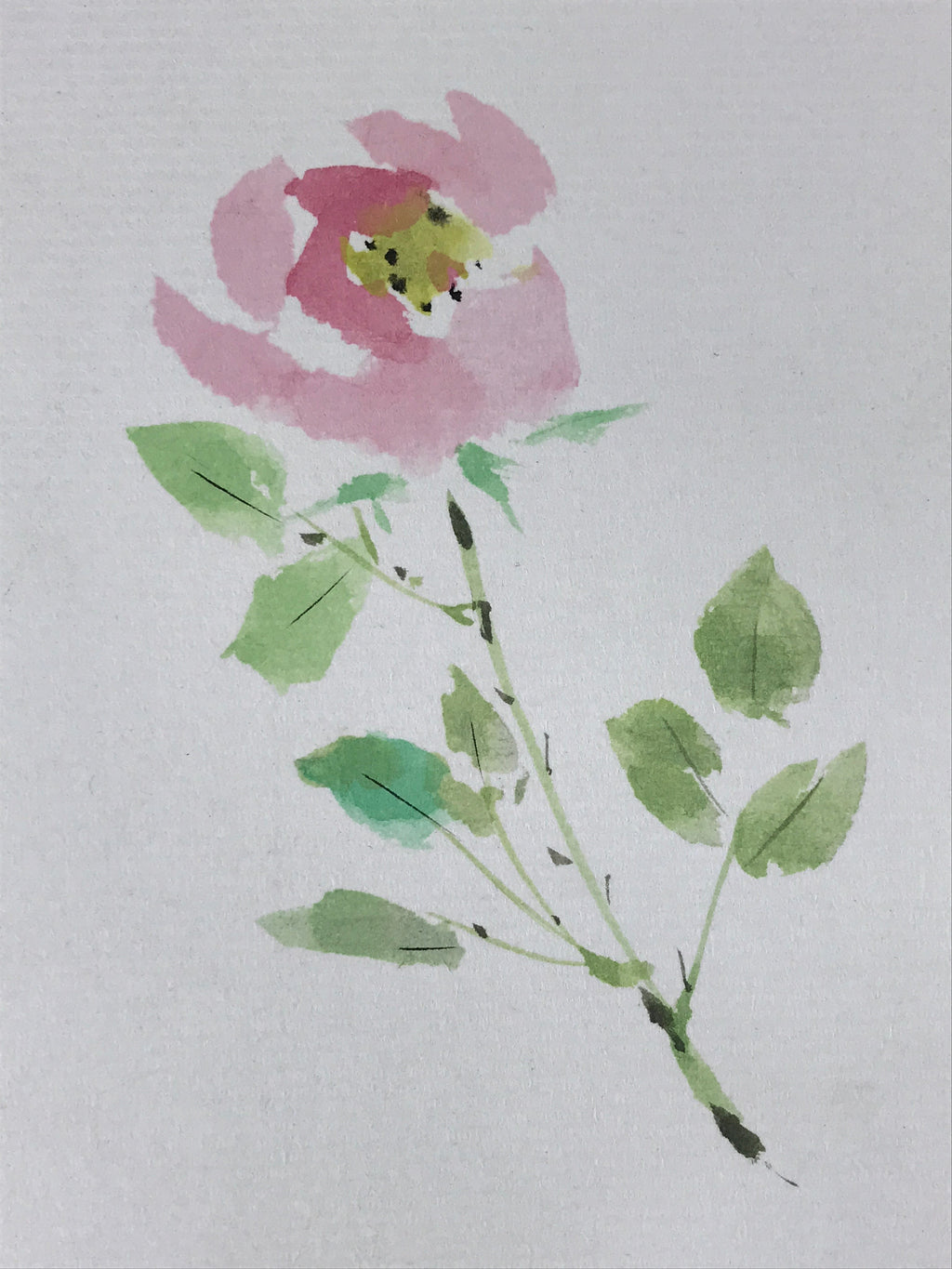Japanese Shikishi Art Board Painting Pink Peony Flower With Black Poem A588