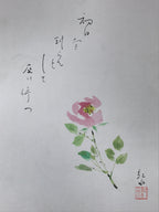 Japanese Shikishi Art Board Painting Pink Peony Flower With Black Poem A588