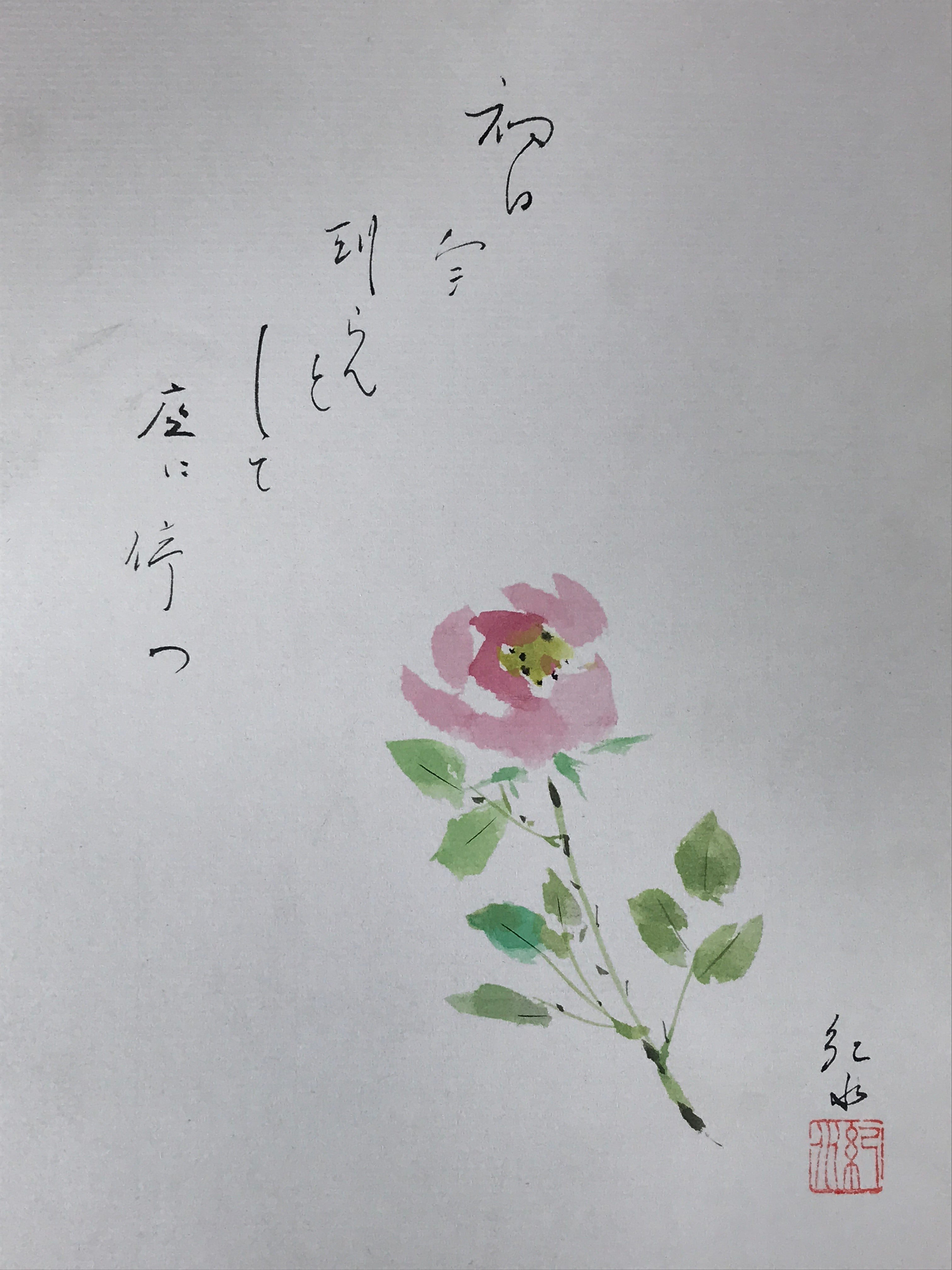 Japanese Shikishi Art Board Painting Pink Peony Flower With Black Poem A588