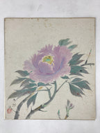 Japanese Shikishi Art Board Painting Purple Peony Pastel Green Flowers A598