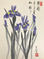 Japanese Shikishi Art Board Painting Vtg Ayame Iris Flower Blue Yellow A707