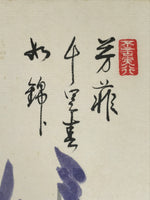 Japanese Shikishi Art Board Painting Vtg Ayame Iris Flower Blue Yellow A707