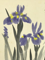 Japanese Shikishi Art Board Painting Vtg Ayame Iris Flower Blue Yellow A707
