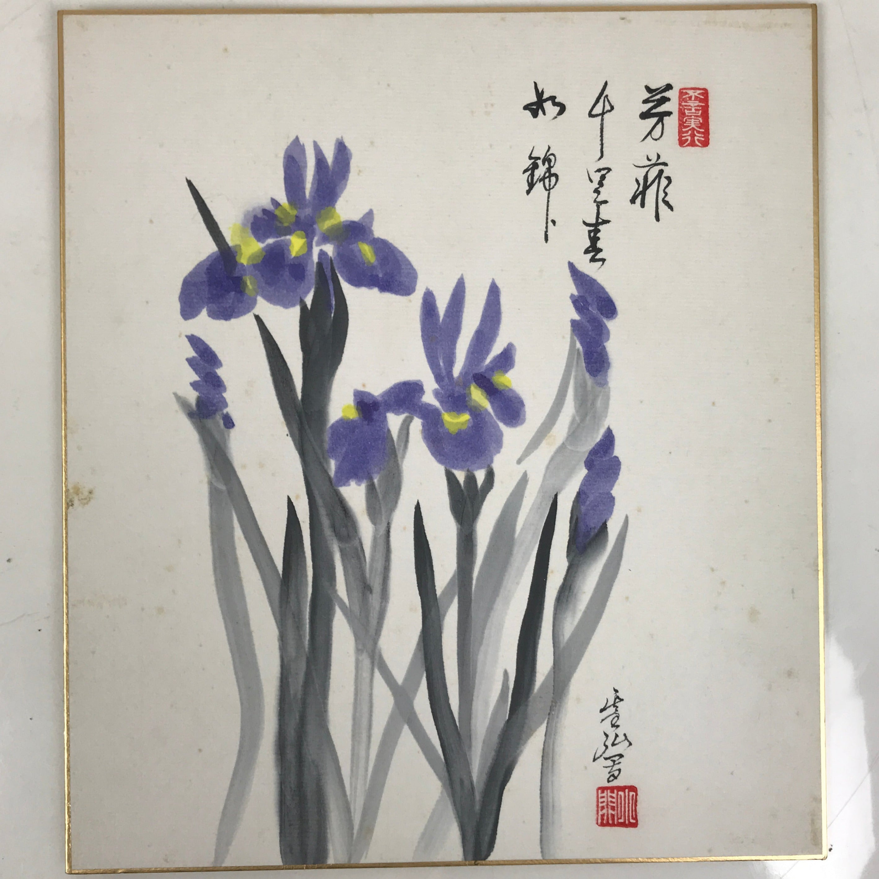 Japanese Shikishi Art Board Painting Vtg Ayame Iris Flower Blue
