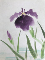 Japanese Shikishi Art Board Painting Vtg Ayame Iris Flower Dragonfly Purple A708