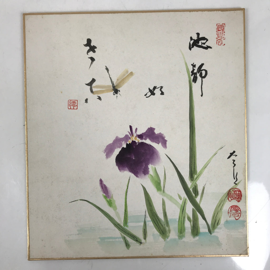 Japanese Shikishi Art Board Painting Vtg Ayame Iris Flower Dragonfly Purple A708