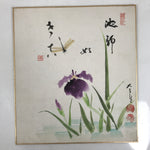 Japanese Shikishi Art Board Painting Vtg Ayame Iris Flower Dragonfly Purple A708