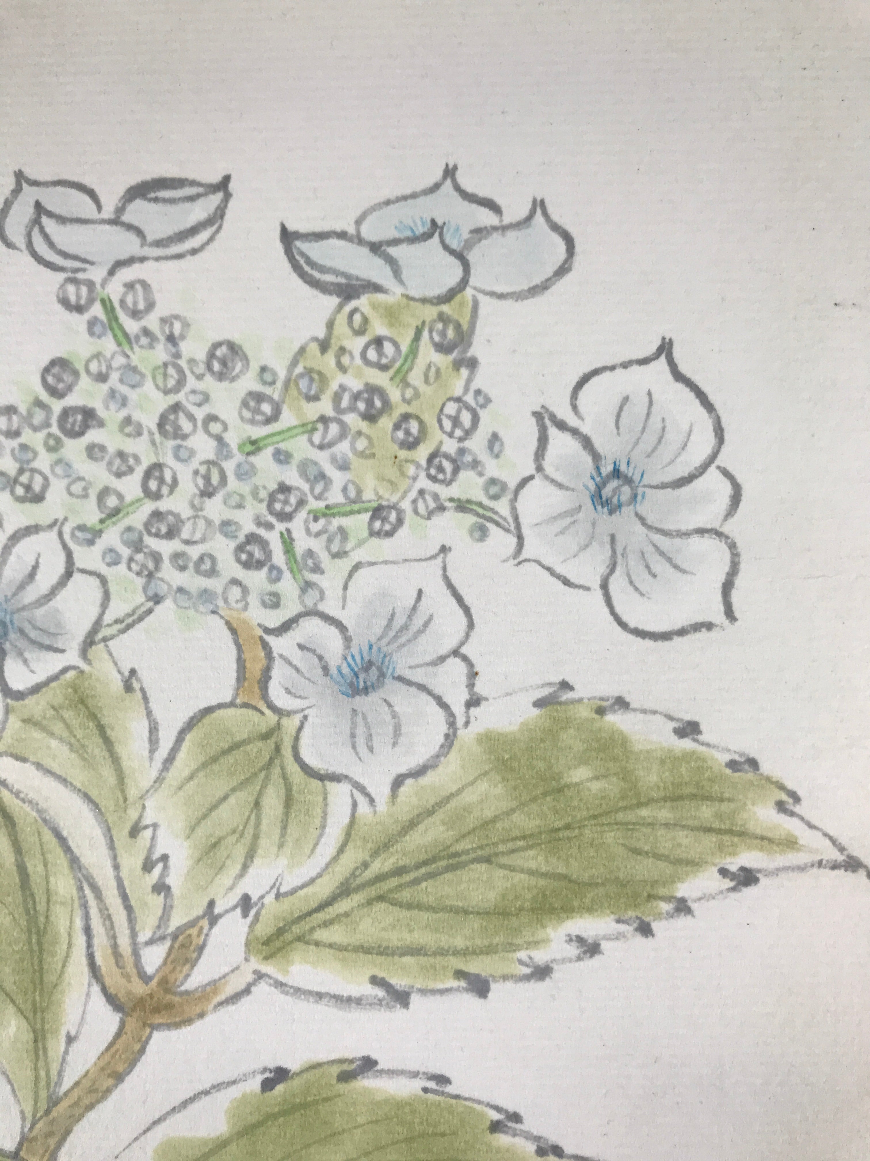 Japanese Shikishi Art Board Painting Vtg Blooming Blue Hydrangea Ajisai A658