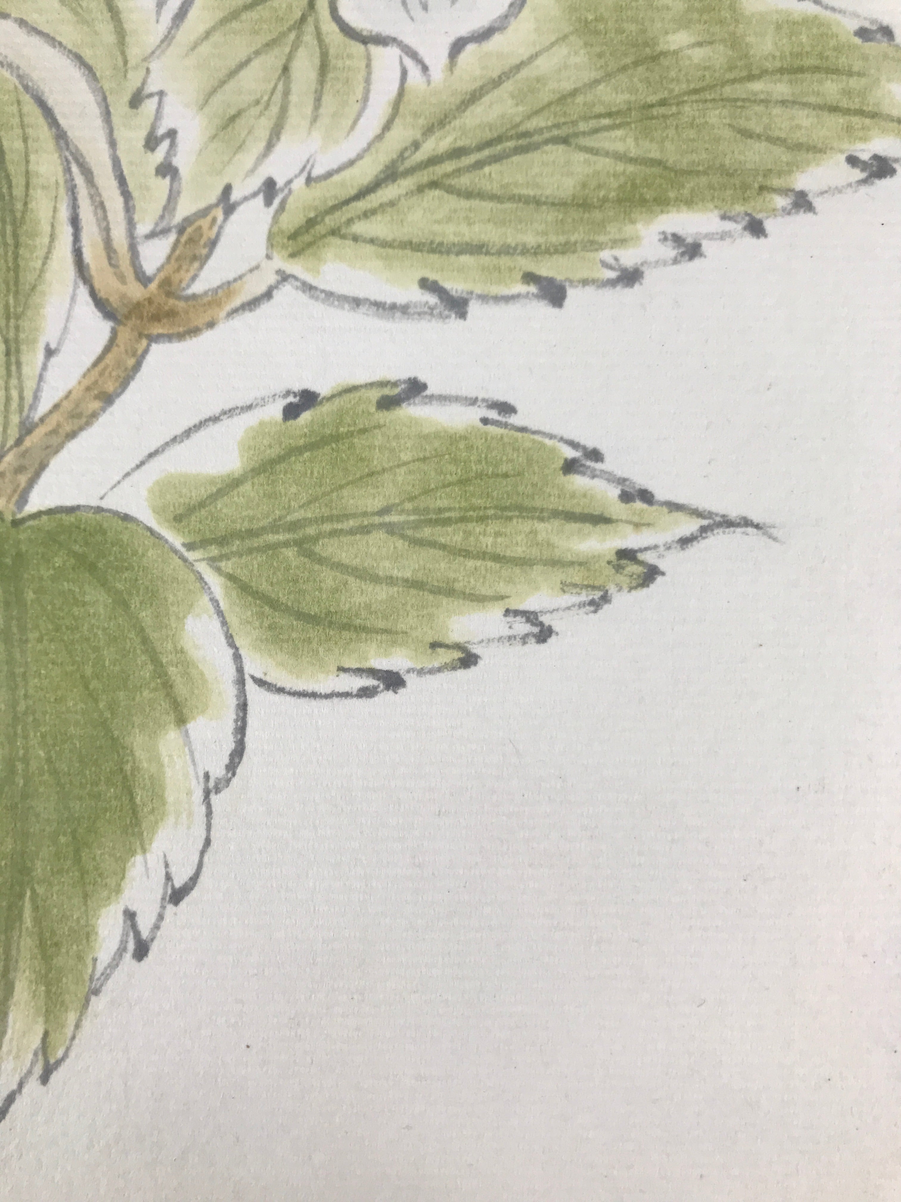 Japanese Shikishi Art Board Painting Vtg Blooming Blue Hydrangea Ajisai A658