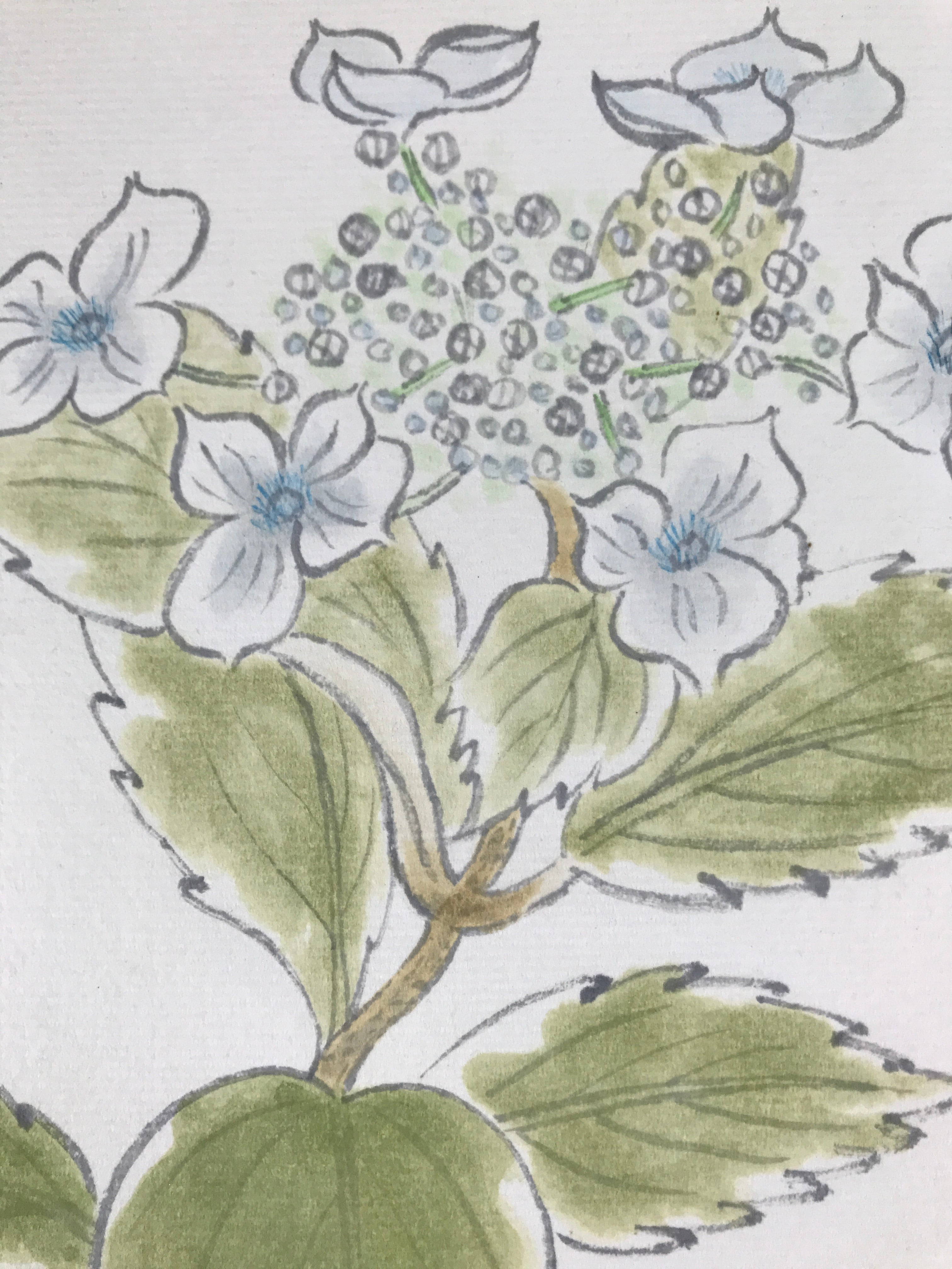 Japanese Shikishi Art Board Painting Vtg Blooming Blue Hydrangea Ajisai A658