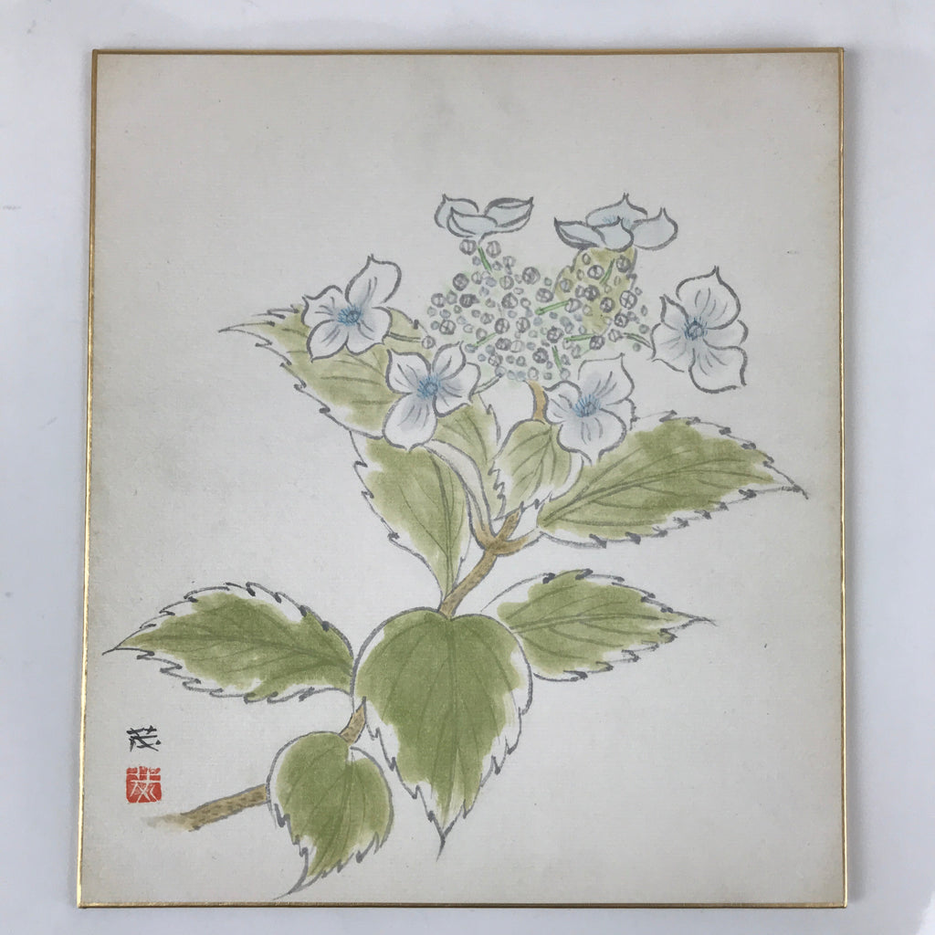 Japanese Shikishi Art Board Painting Vtg Blooming Blue Hydrangea Ajisai A658