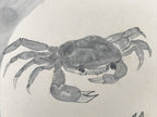 Japanese Shikishi Art Board Painting Vtg Crab Gray White Black Sumie Family A717