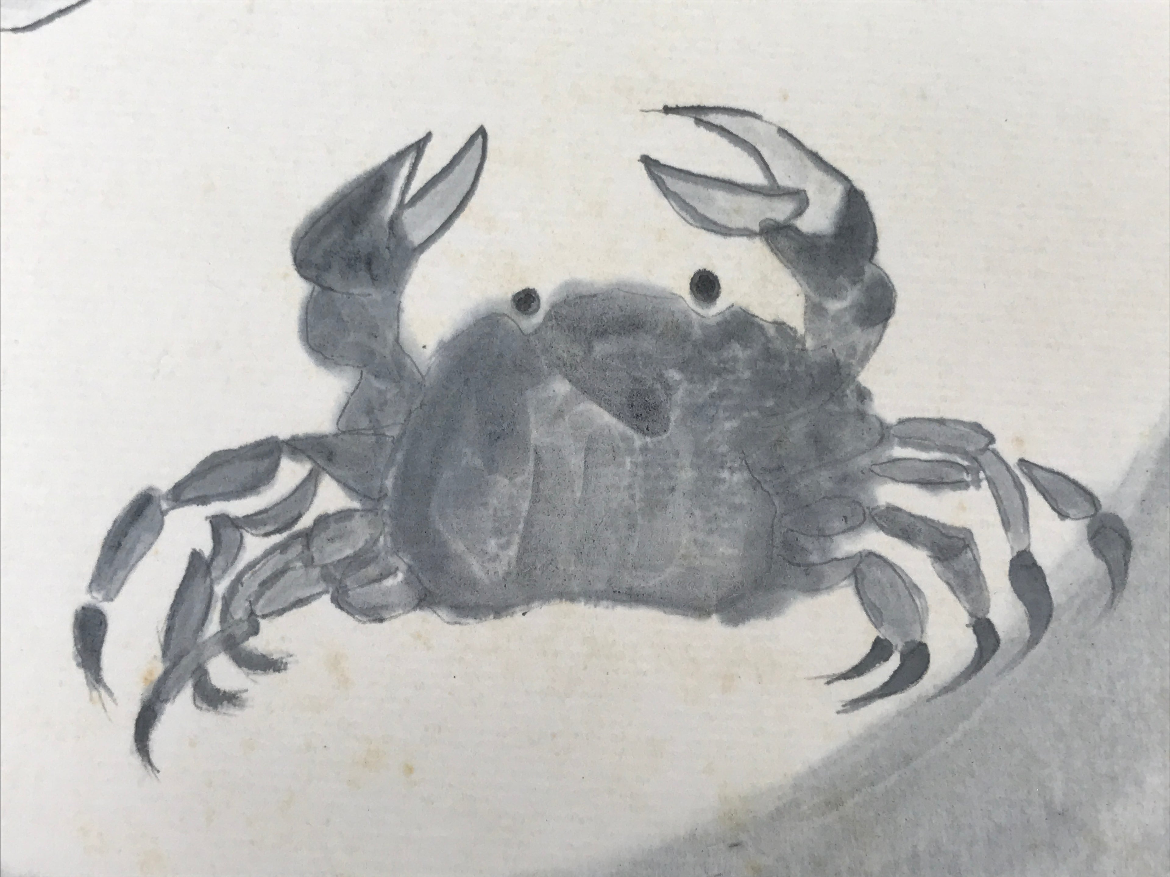 Japanese Shikishi Art Board Painting Vtg Crab Gray White Black Sumie Family A717