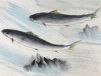 Japanese Shikishi Art Board Painting Vtg Fish Sweetfish Ayu River Stream A723