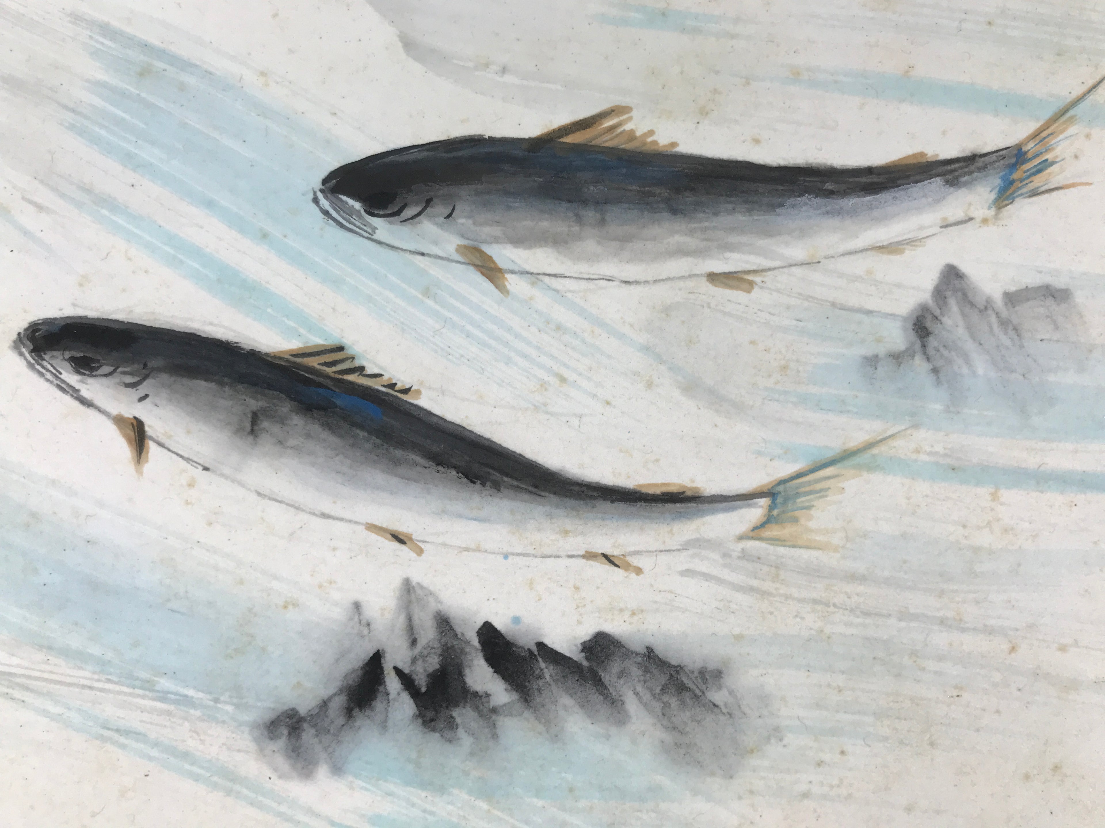 Japanese Shikishi Art Board Painting Vtg Fish Sweetfish Ayu River Stream A723