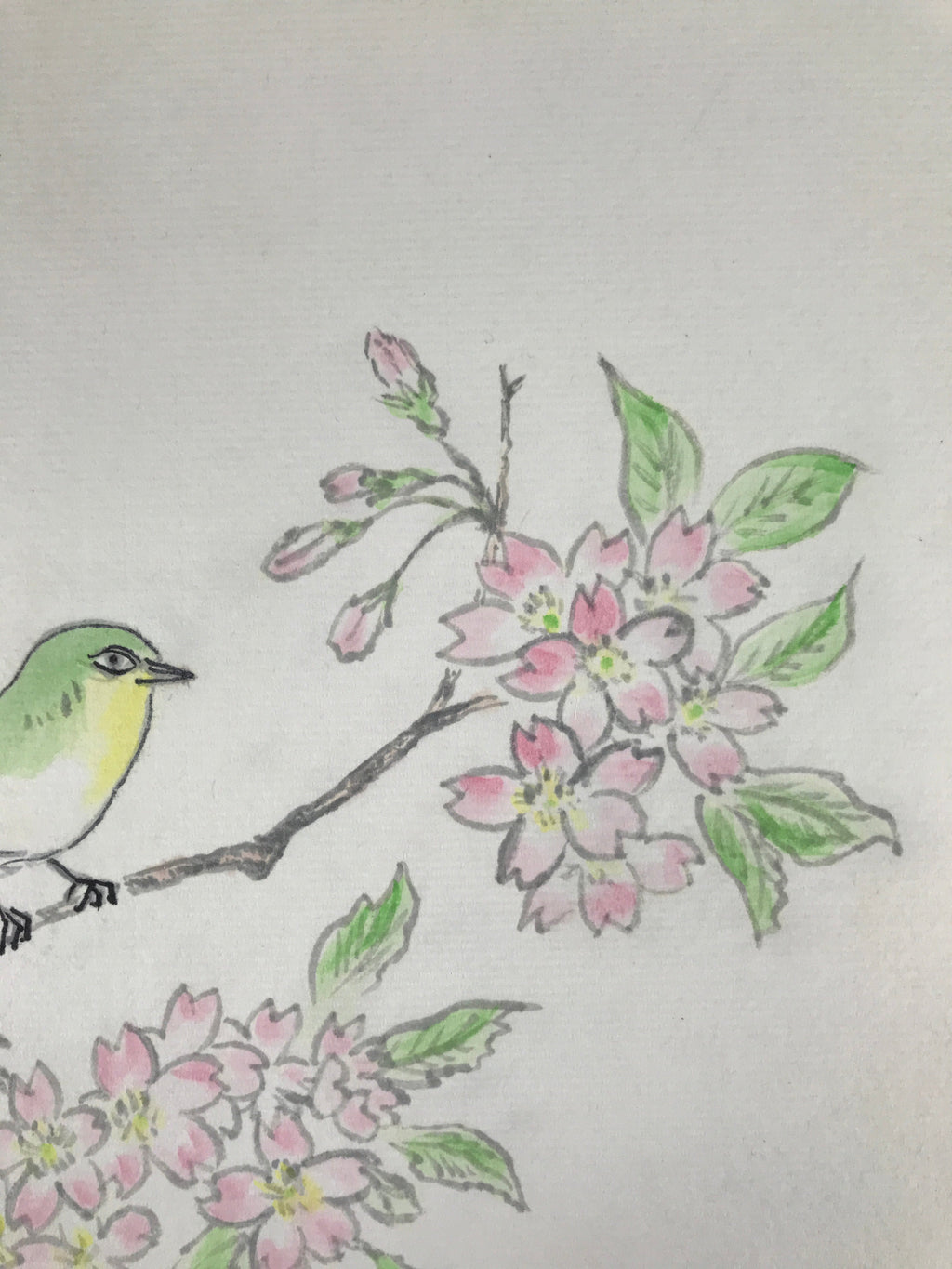 Japanese Shikishi Art Board Painting Vtg Green Bird Cherry Blossoms Sakura A656