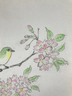 Japanese Shikishi Art Board Painting Vtg Green Bird Cherry Blossoms Sakura A656