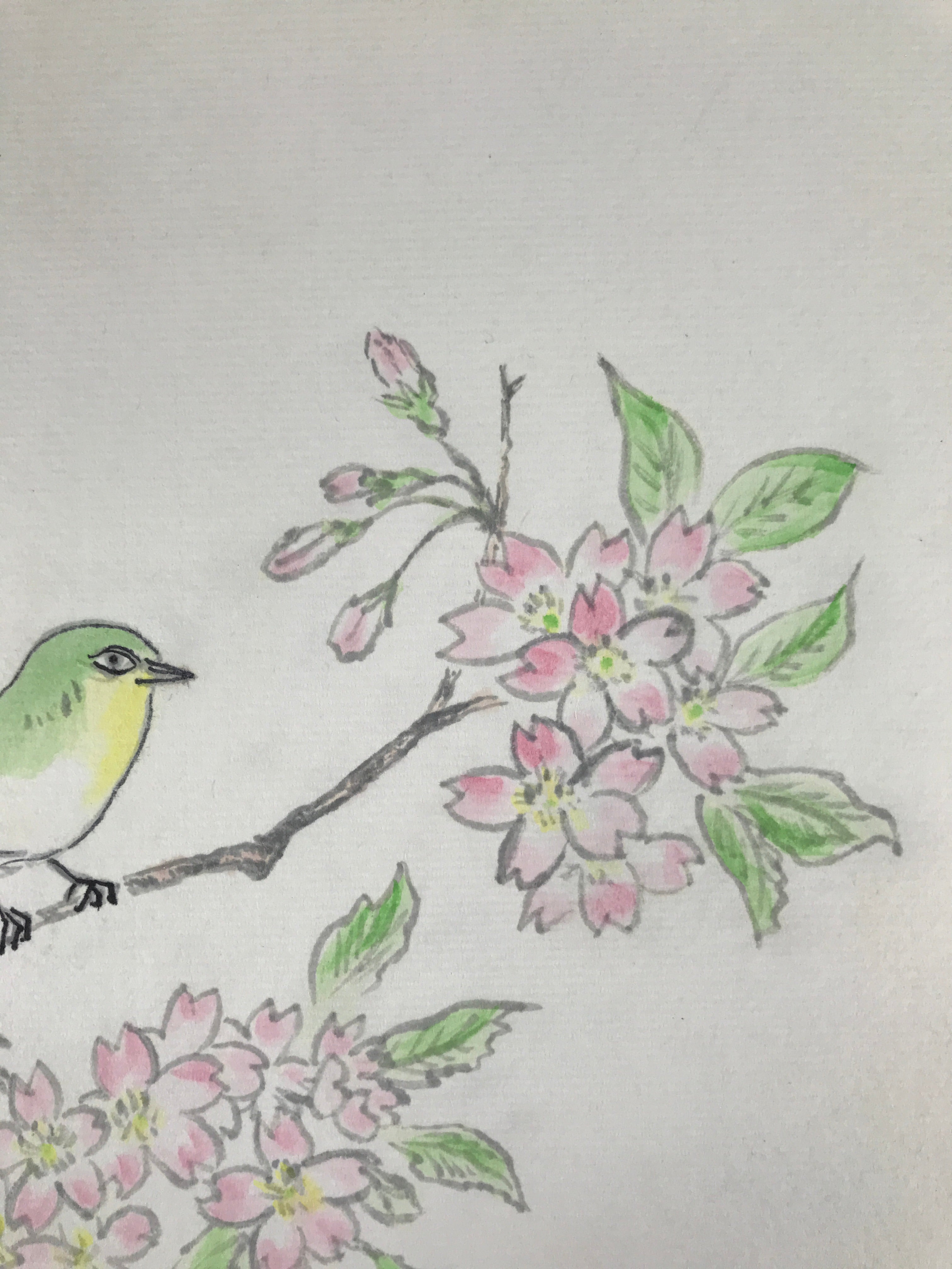 Japanese Shikishi Art Board Painting Vtg Green Bird Cherry Blossoms Sakura A656