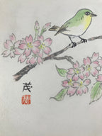 Japanese Shikishi Art Board Painting Vtg Green Bird Cherry Blossoms Sakura A656